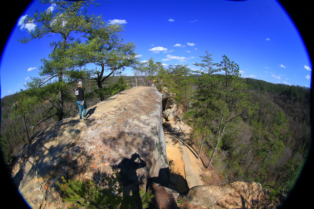 Fisheye of Sook crossing the bridge - Sky Bridge