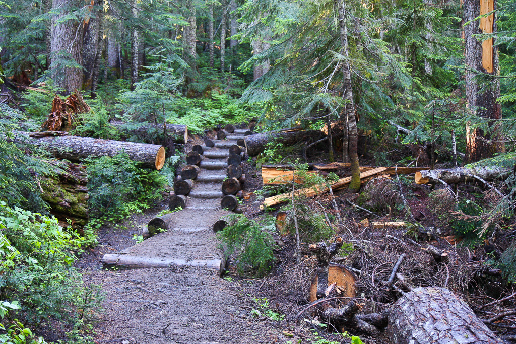 Well-constructed path - Skyline Divide