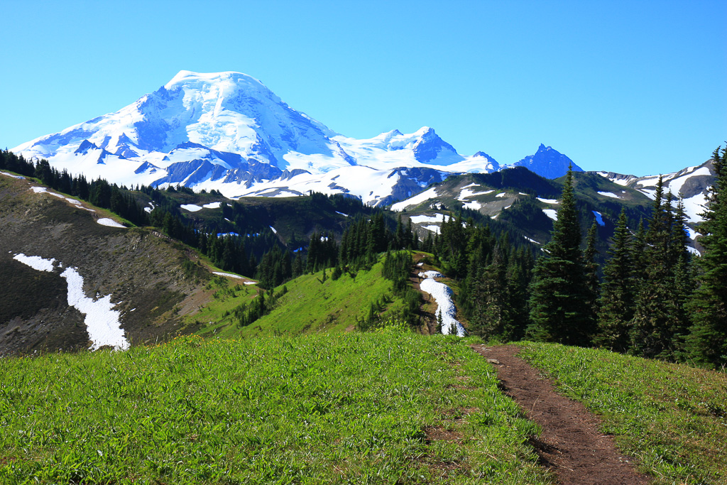 Trail and Mount Baker - Skyline Divide