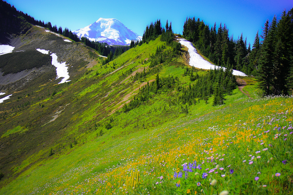 Ridgeline trail - Skyline Divide