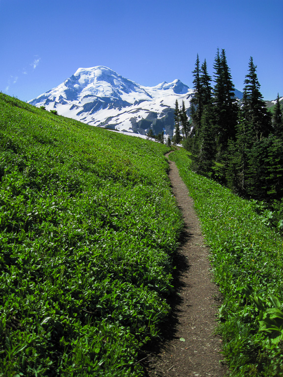 Trail to paradise - Skyline Divide