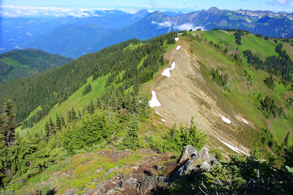 Looking back at the trail along the knoll - Skyline Divide