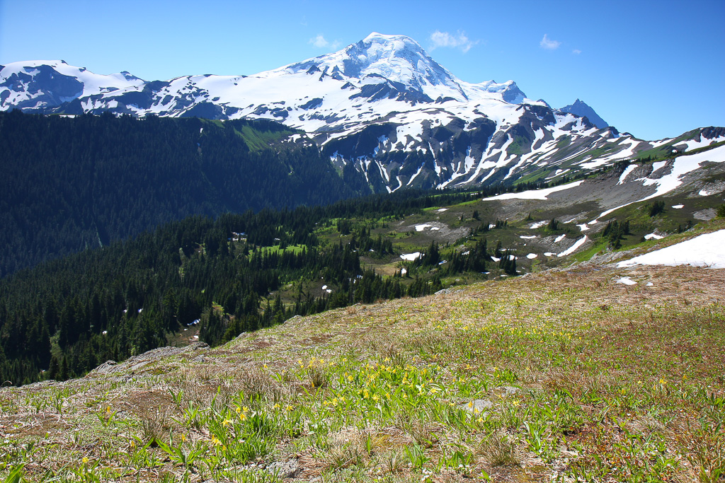 Baker ridgeline - Skyline Divide