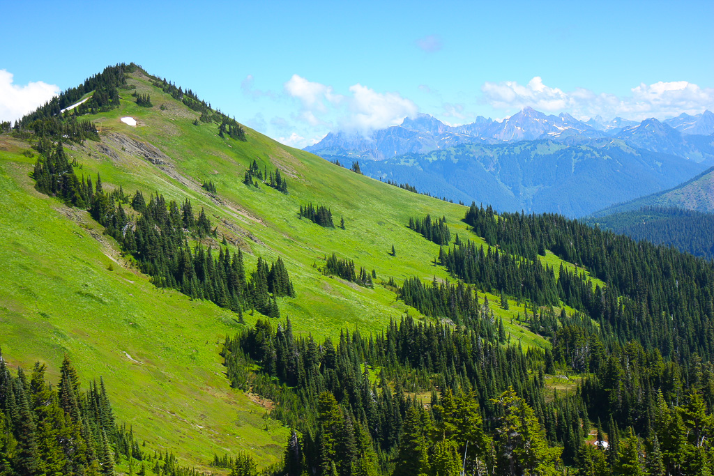 Mountain grandeur - Skyline Divide