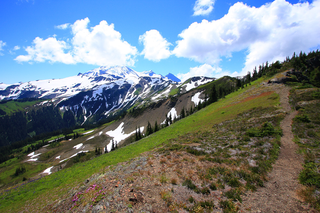 Trail to Baker - Skyline Divide