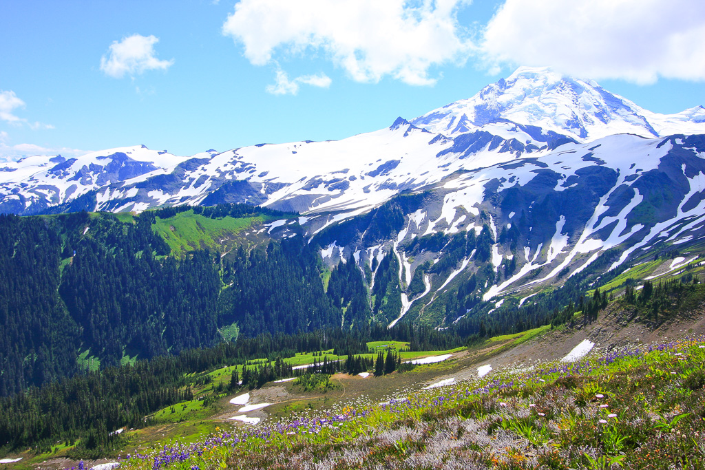 Baker and meadow - Skyline Divide