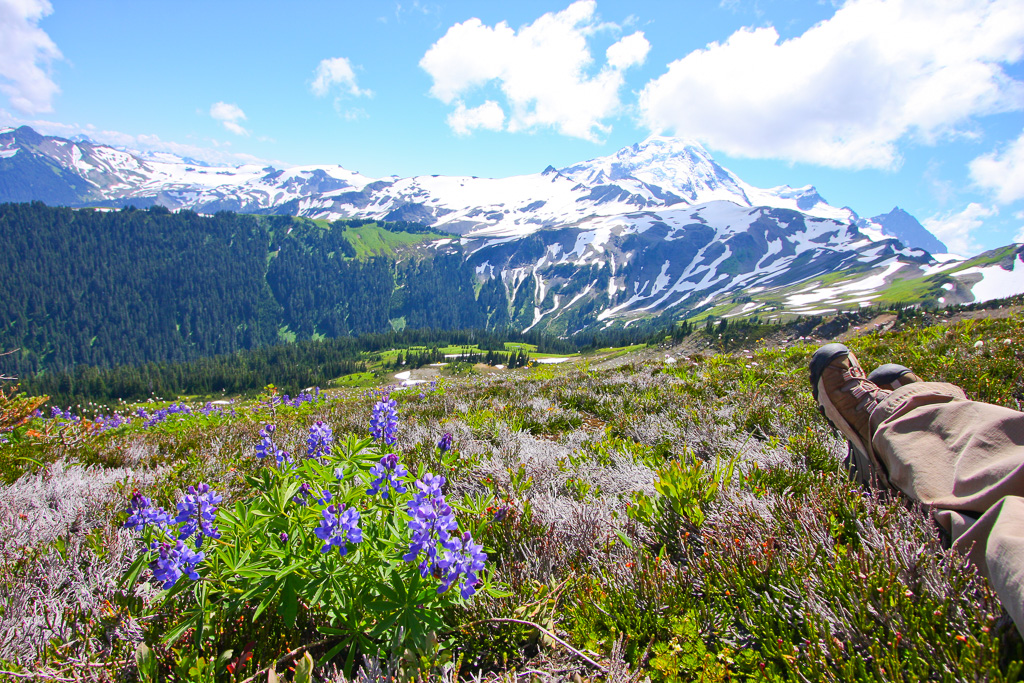 Lupine and Two Boots - Skyline Divide