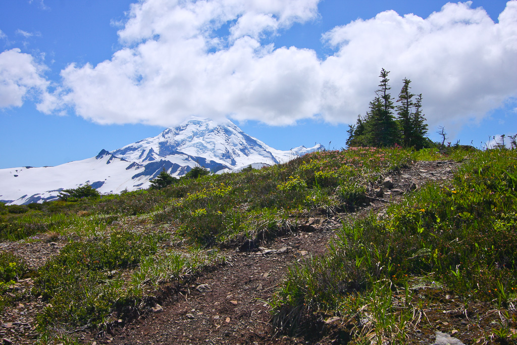 High trail - Skyline Divide