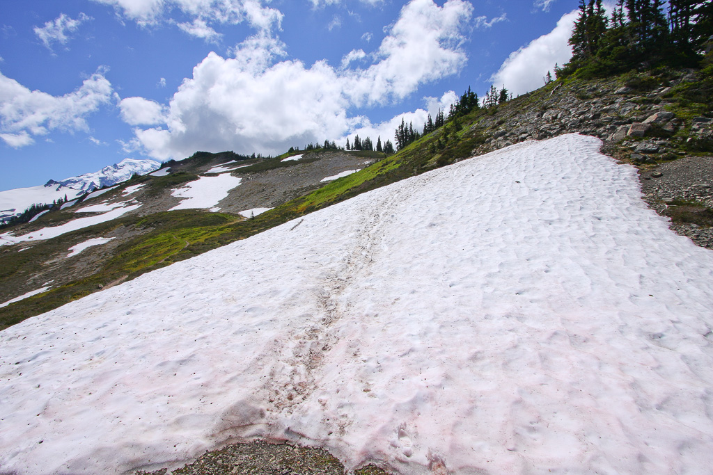 Snow-covered trail - Skyline Divide