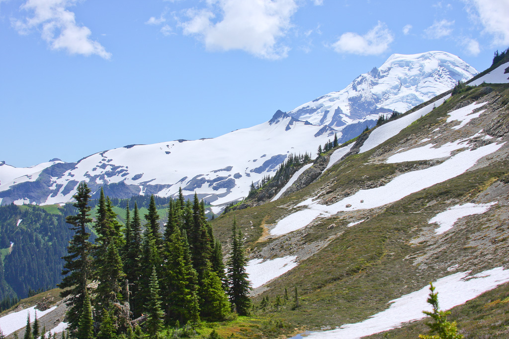 Evergreens and Baker - Skyline Divide