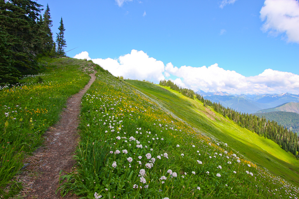 High knoll trail - Skyline Divide