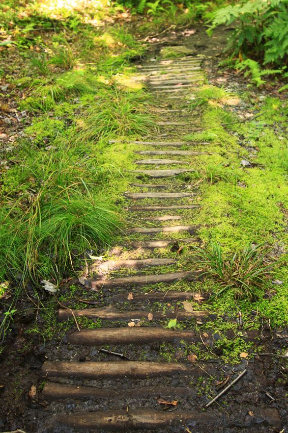 Erosion control - Table Rock