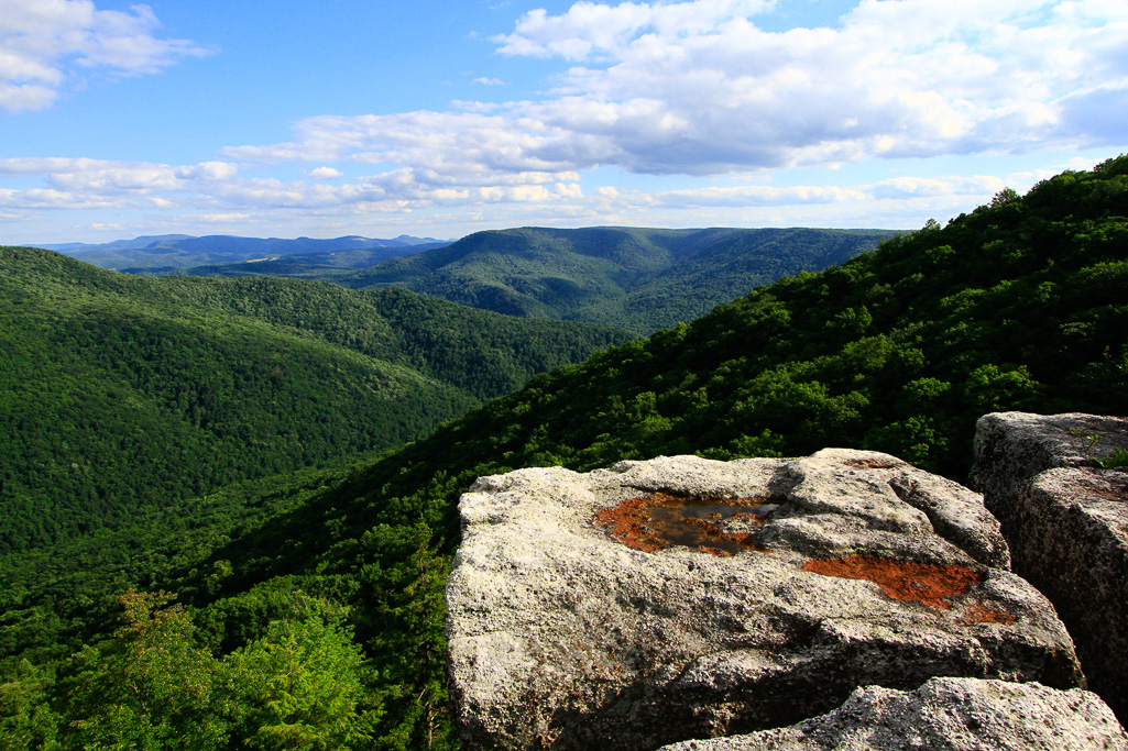 Cheat River Valley - Table Rock
