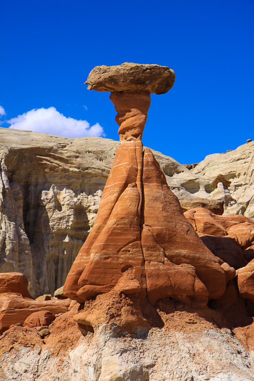 The Red Toadstool Hoodoo