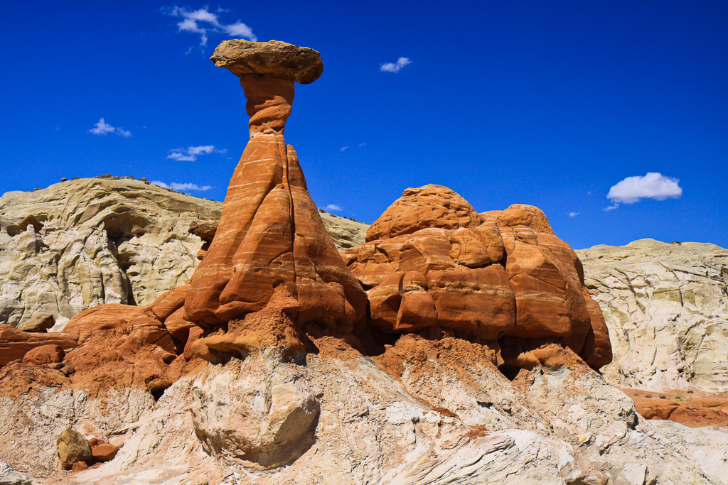 The Red Toadstool