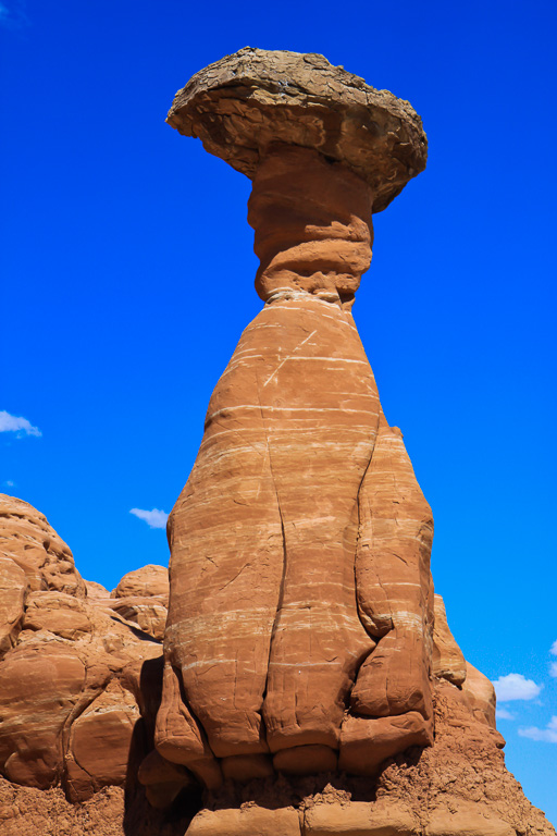 The Red Toadstool