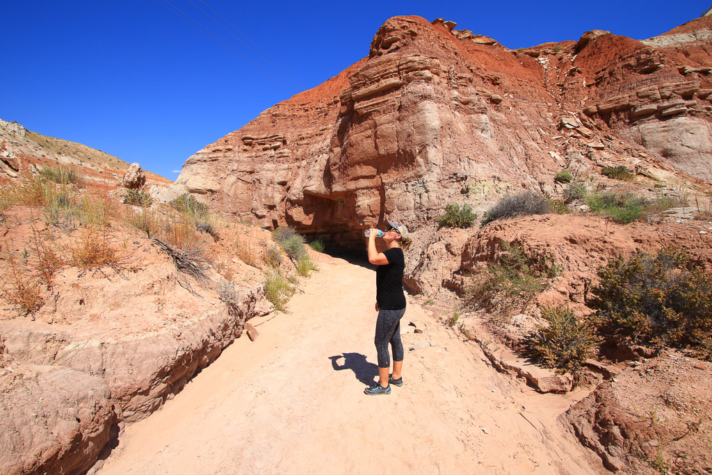 Toadstool Hoodoo of the Rimrocks, Grand Staircase-Escalante NM, Utah 2015