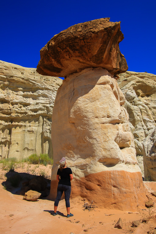 Toadstool Hoodoo of the Rimrocks, Grand Staircase-Escalante NM, Utah 2015