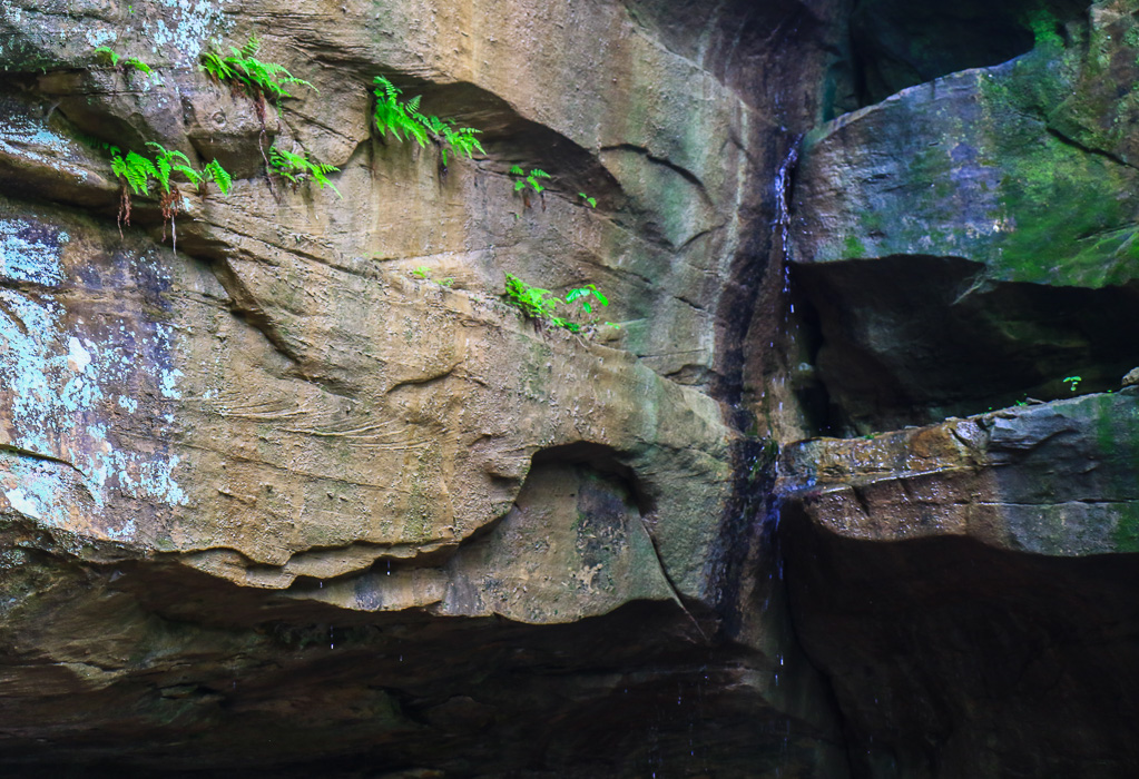 The Icebox - Turkey Run State Park