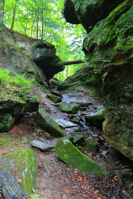 Falls Canyon - Turkey Run State Park