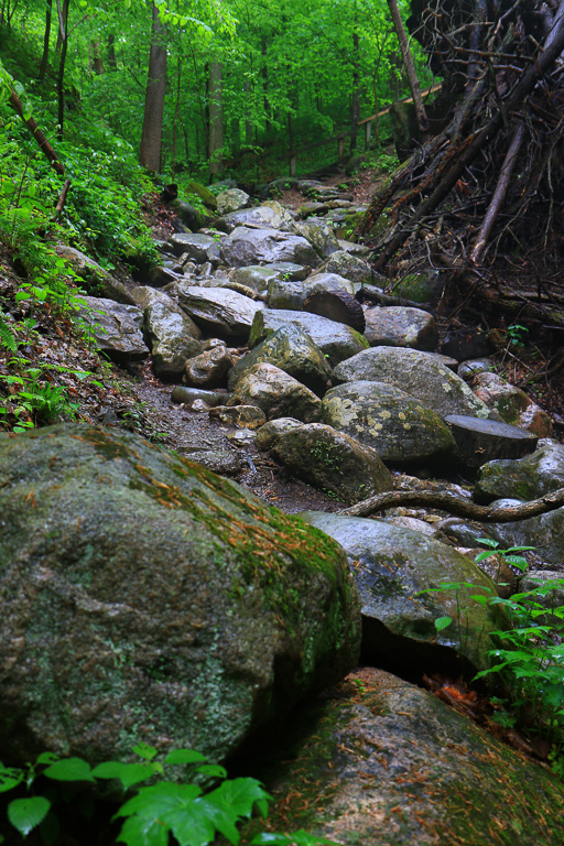 Boulder Canyon - Turkey Run State Park