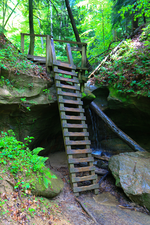 Ladders area - Turkey Run State Park