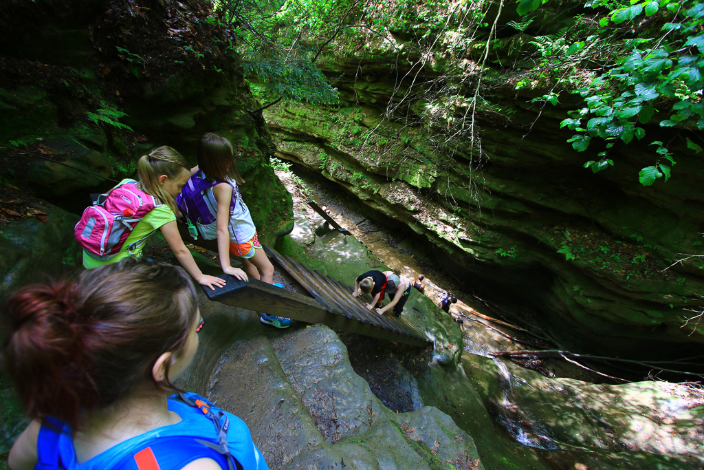 Going down - Turkey Run State Park