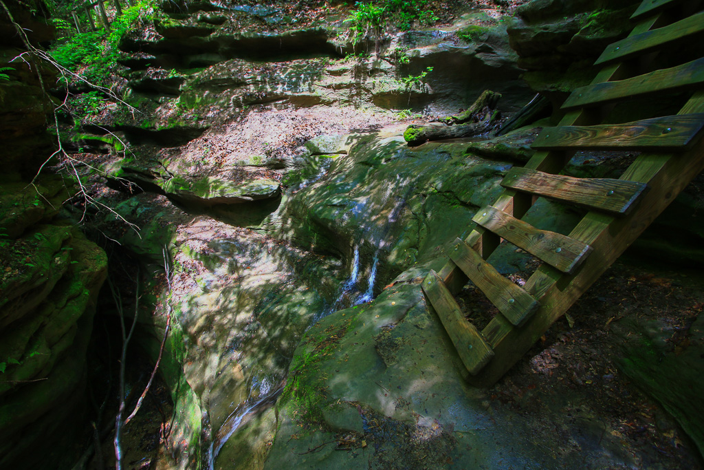 Almost to the bottom - Turkey Run State Park