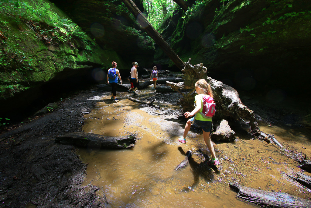 Rizlee fording the stream - Turkey Run State Park