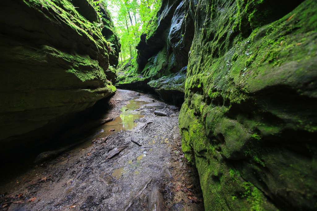 Cool canyon - Turkey Run State Park