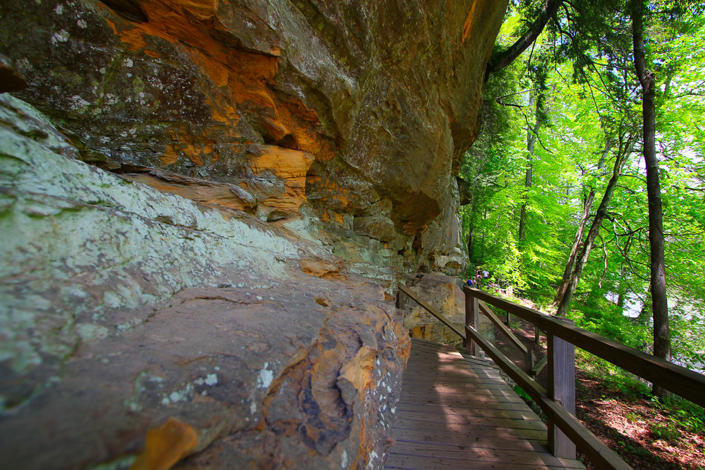 Back along the river - Turkey Run State Park