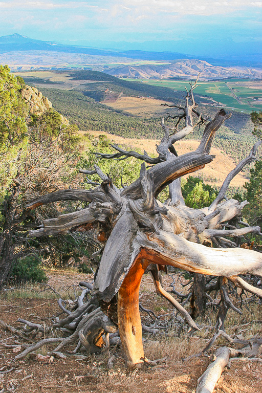 Deadwood - Warner Point Nature Trail