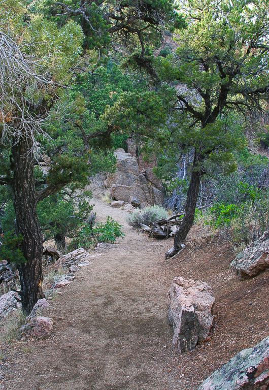 The path - Warner Point Nature Trail