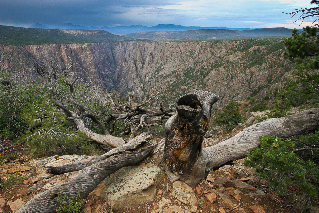 Black Canyon of the Gunnison - Warner Point Nature Trail