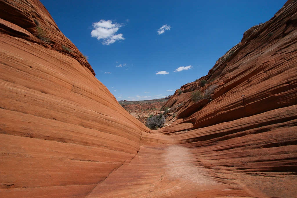 Landscape leading to The Wave - The Wave