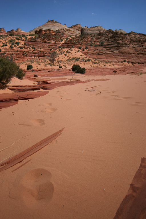 Black Crack on the distant ridge - The Wave