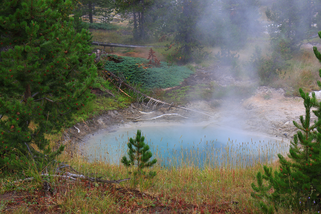 Bluebell Pool - West Thumb Geyser Basin