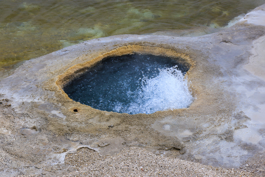 Lakeshore Geyser - West Thumb Geyser Basin