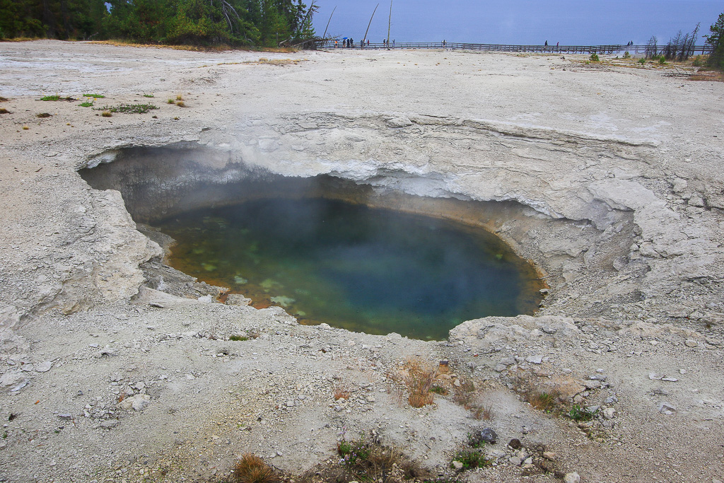 Surging Spring - West Thumb Geyser Basin