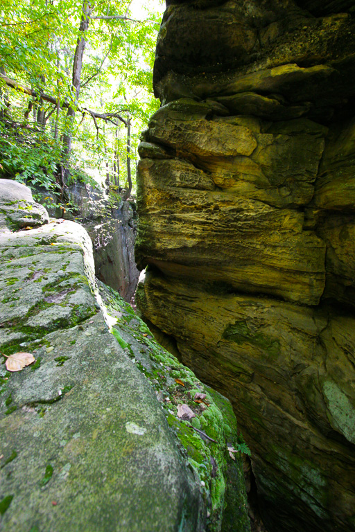 Whipps Ledges Hinckley Reservation, Ohio