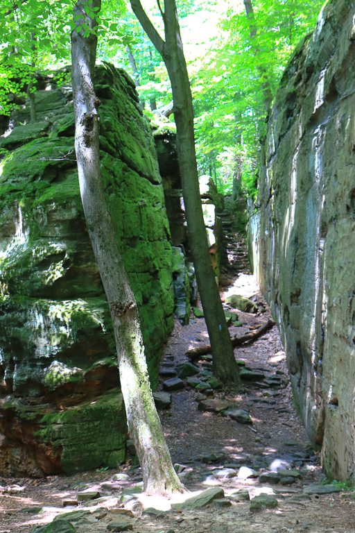 Whipps Ledges Hinckley Reservation, Ohio