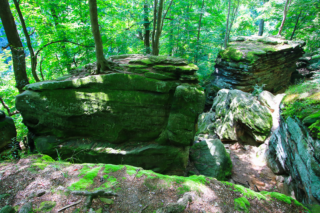 Whipps Ledges Hinckley Reservation, Ohio