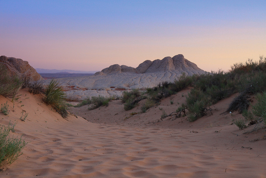 The sandy path leading into White Pocket - White Pocket