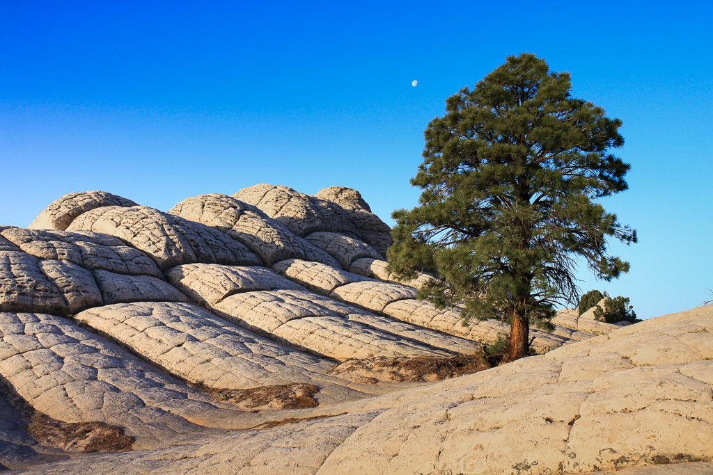 Juniper Ridge - White Pocket, Arizona