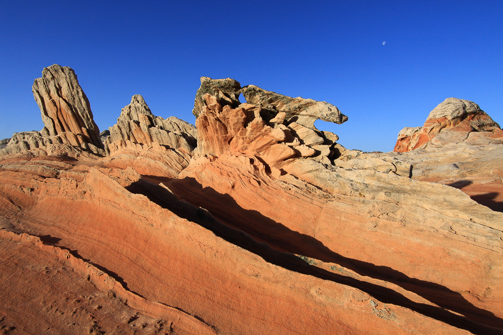 Sandstone fins - White Pocket