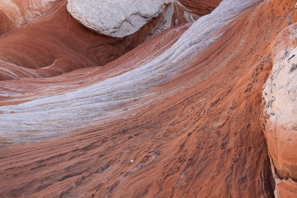 White and Orange - White Pocket