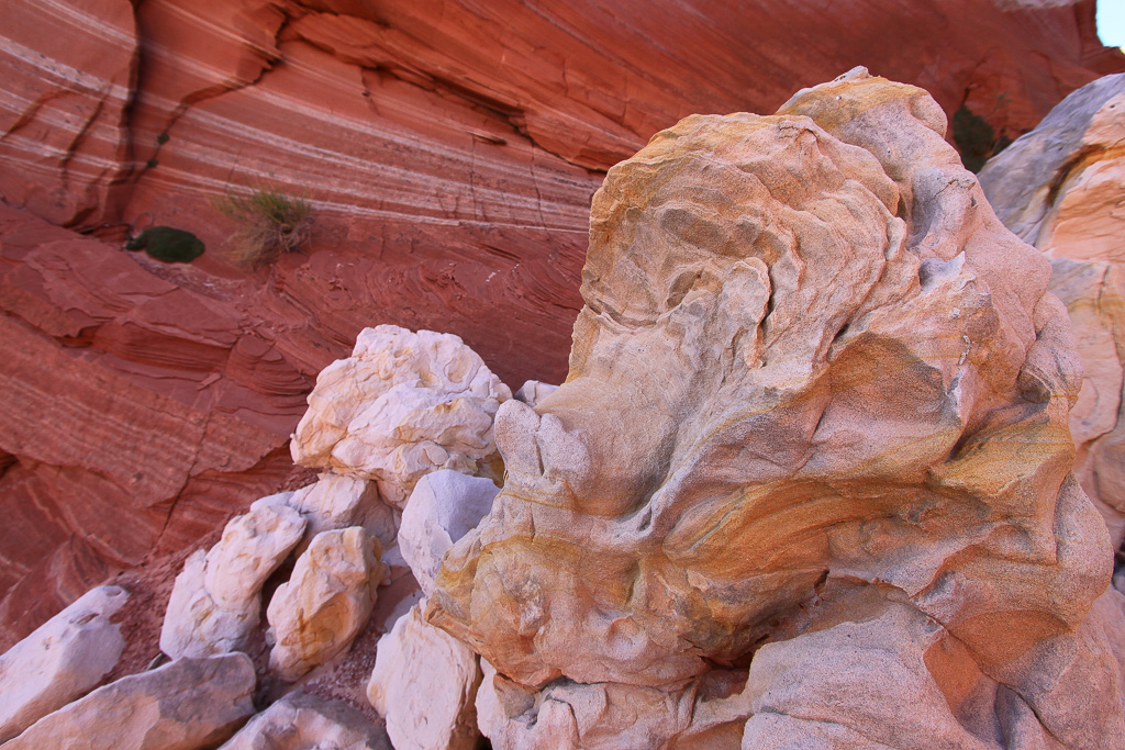 Rock Garden - White Pocket