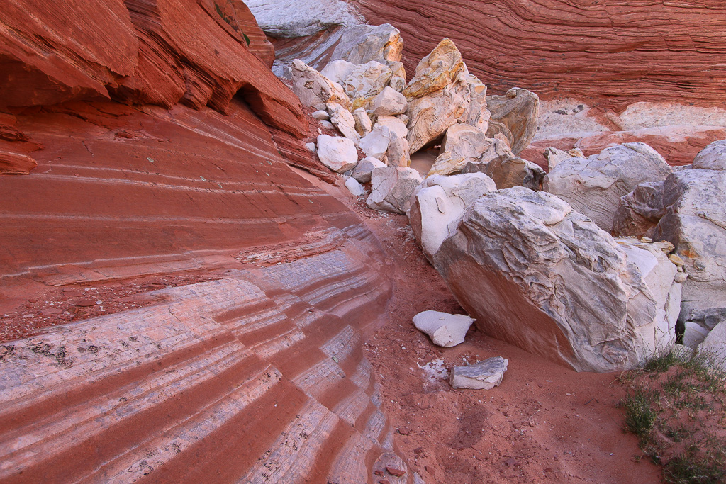 Rock Garden - White Pocket