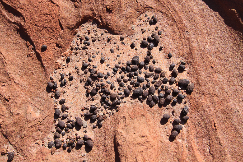 Moqui Marbles - White Pocket
