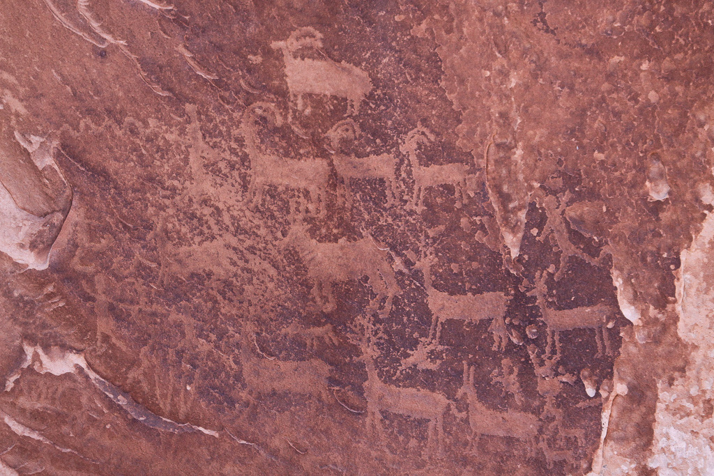 Petroglyphs - White Pocket